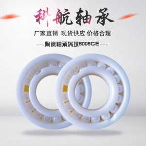 陶瓷轴承满球6005CE