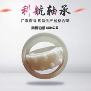 陶瓷轴承1204CE